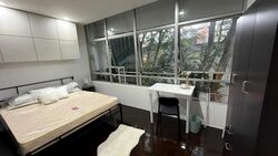 Willyn Ville (D10), Apartment #517313811